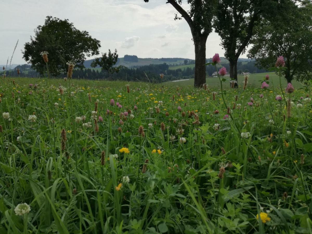 Jenny Villa Lembach im Mühlkreis Buitenkant foto
